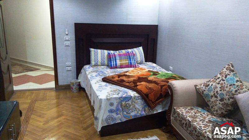 Furnished Apartment for Rent in Zamalek