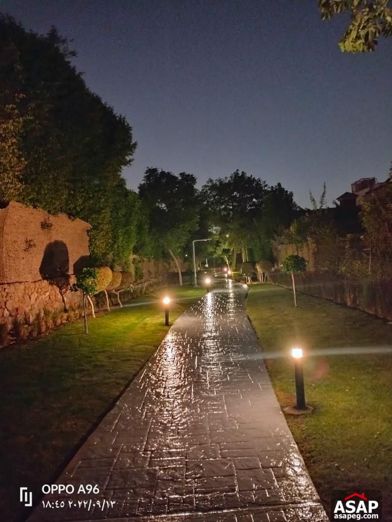 Stand Alone for Rent in Mountain View Stand Alone for Rent in Mountain View