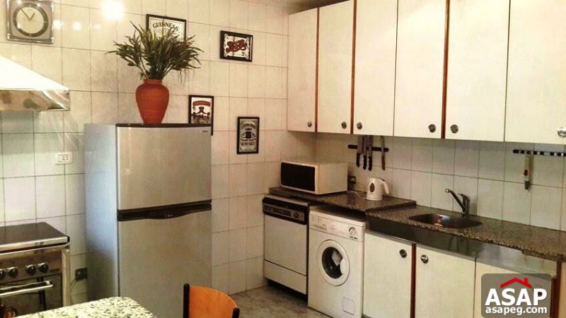 Furnished Apartment with Big Terrace in Zamalek Furnished Apartment with Big Terrace in Zamalek