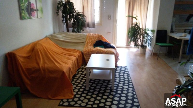 Nice Furnished Studio in Agouza Nice Furnished Studio in Agouza
