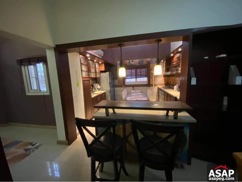 Furnished Flat for Rent in Zamalek Furnished Flat for Rent in Zamalek