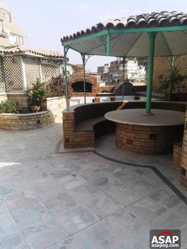 Apartment with Big Roof for Rent in Zamalek Apartment with Big Roof for Rent in Zamalek
