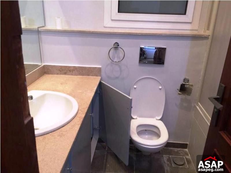 Furnished Apartment with Terrace for Rent in Zamalek Furnished Apartment with Terrace for Rent in Zamalek