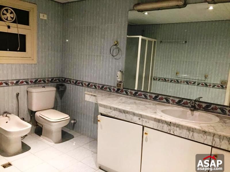 Flat for Rent in Zamalek Flat for Rent in Zamalek