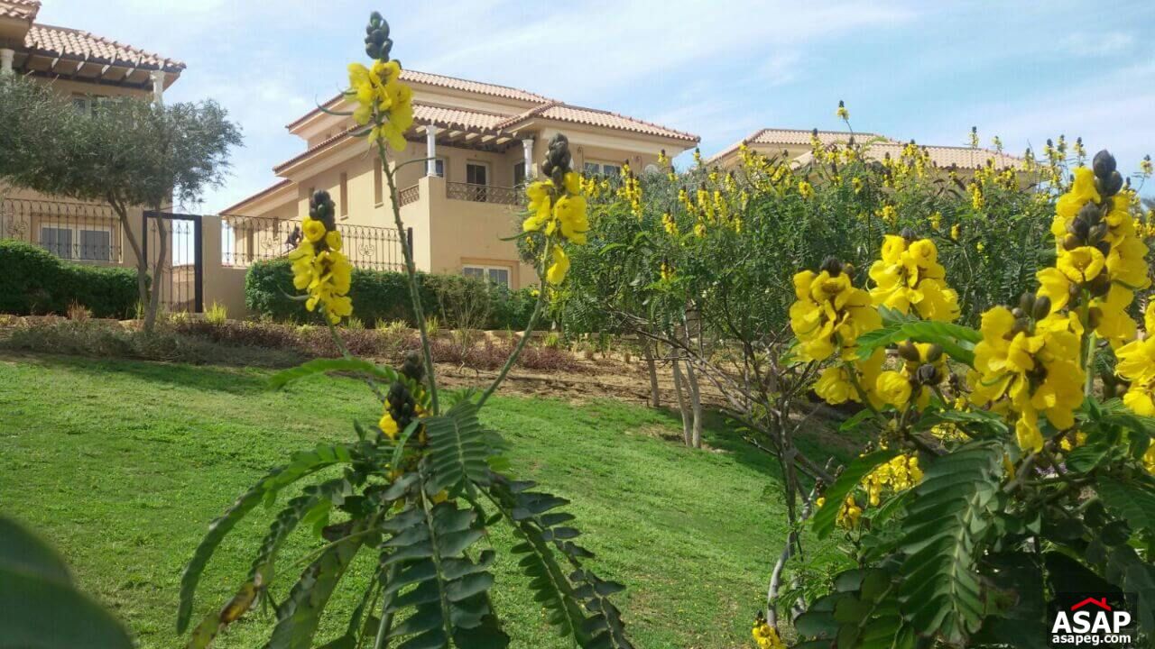 Stand Alone Villa for Sale in Hyde Park Stand Alone Villa for Sale in Hyde Park