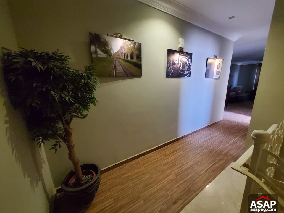 Penthouse for Rent in Park View Penthouse for Rent in Park View