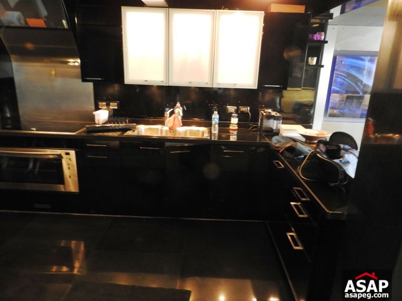 Apartment for rent in zamalek Apartment for rent in zamalek