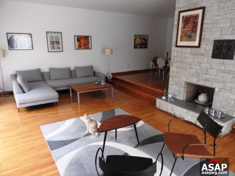 Villa with Garden for Rent in Maadi Villa with Garden for Rent in Maadi