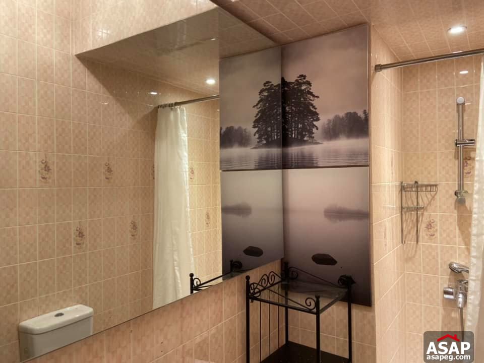 Apartment for Rent in Zamalek Apartment for Rent in Zamalek