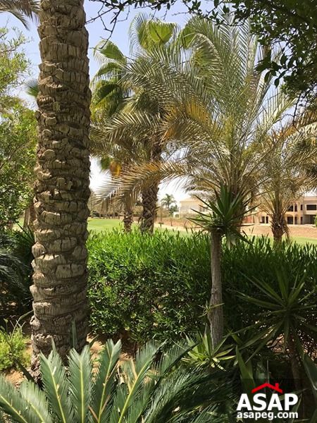 Stand Alone with Golf View for Sale in Katameya Heights Stand Alone with Golf View for Sale in Katameya Heights