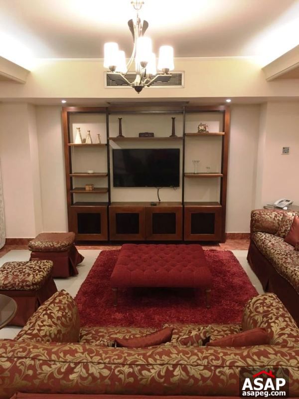 Furnished Apartment with Nile View in Dokki