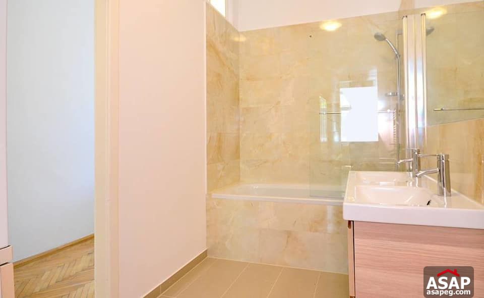 Furnished Flat for Rent in Zamalek Furnished Flat for Rent in Zamalek