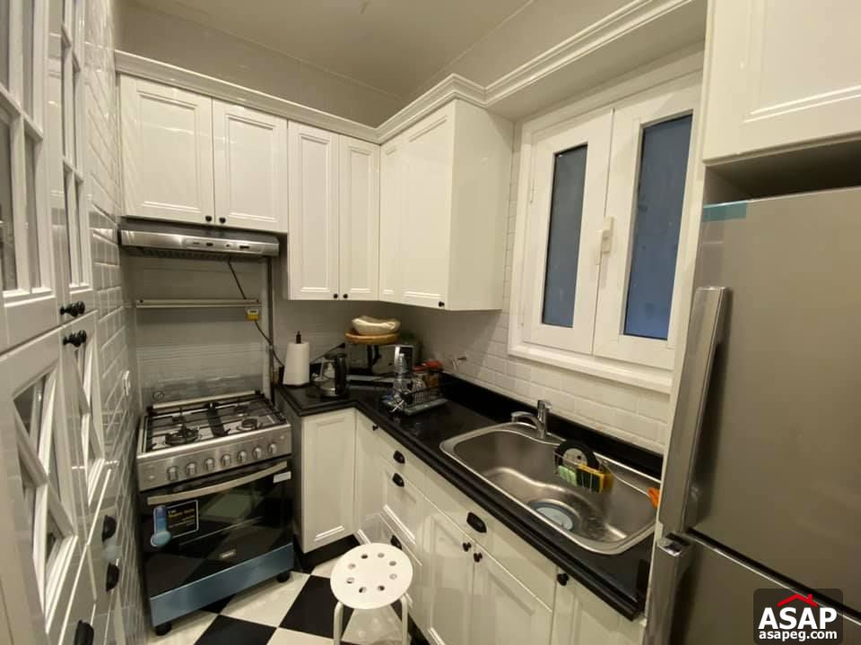 Apartment for Rent in Zamalek Apartment for Rent in Zamalek