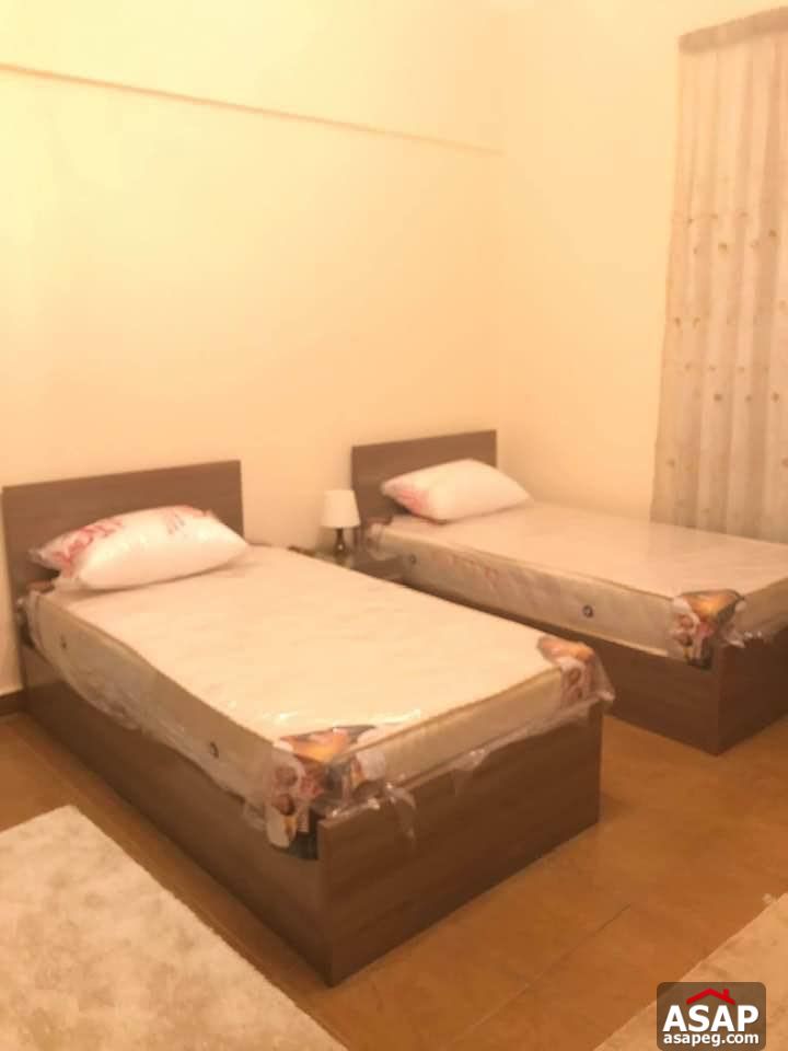 Apartment for Rent in Zamalek Apartment for Rent in Zamalek