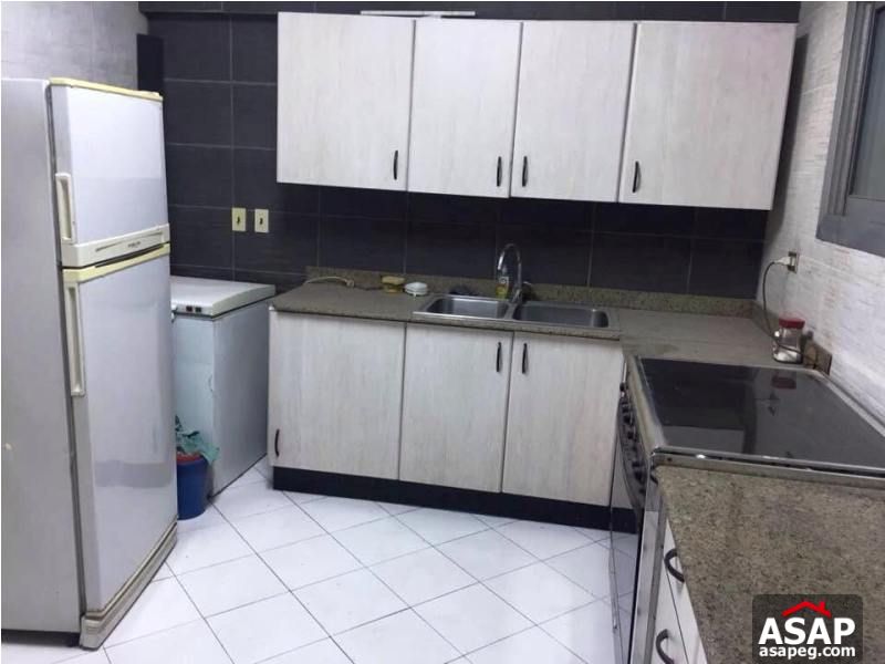 Fully Furnished Apartment in Zamalek Fully Furnished Apartment in Zamalek