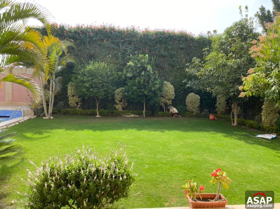 Villa with Pool for Rent in Tara Compound , Sheikh Zayed