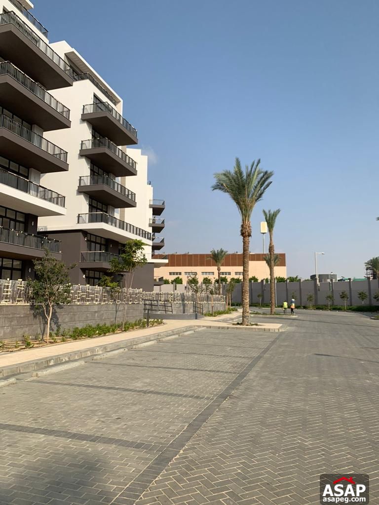 Ground Floor for Rent in Cairo Festival City Ground Floor for Rent in Cairo Festival City