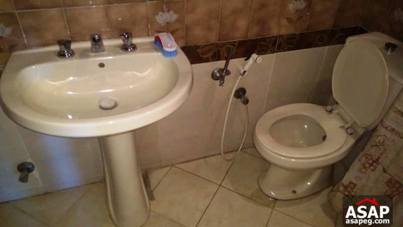 Apartment for rent in zamalek