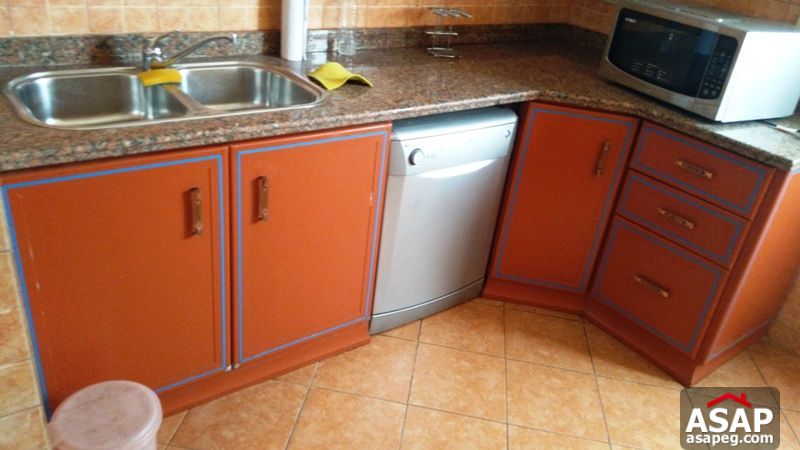 Apartment for rent in zamalek Apartment for rent in zamalek