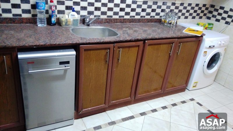 Apartment with Terrace for Rent in Zamalek