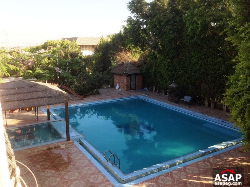 Villa for Rent in Sheikh Zayed Villa for Rent in Sheikh Zayed