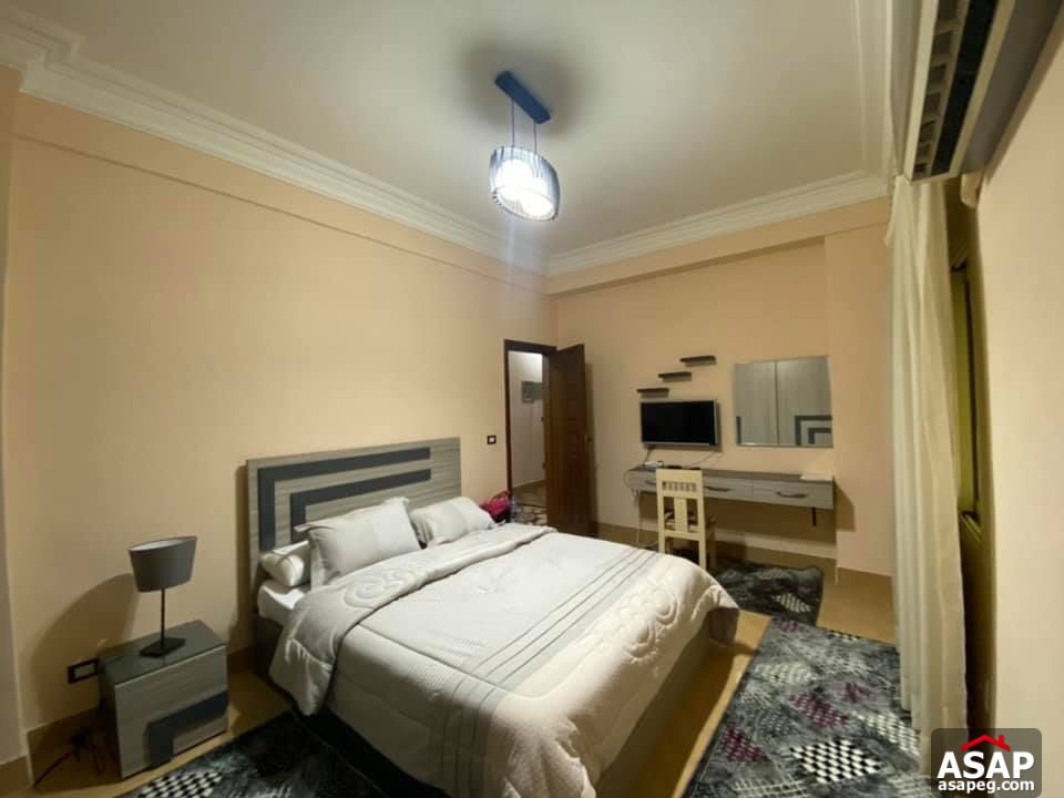 Apartment for Rent in Zamalek Apartment for Rent in Zamalek