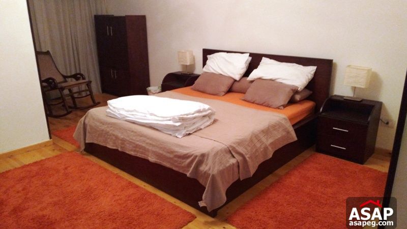 Apartment for Rent in Zamalek Apartment for Rent in Zamalek