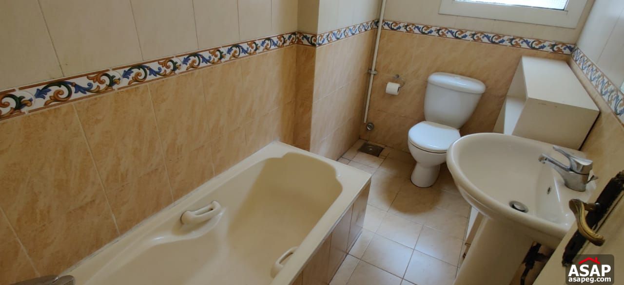 Apartment for Rent in Zamalek Apartment for Rent in Zamalek