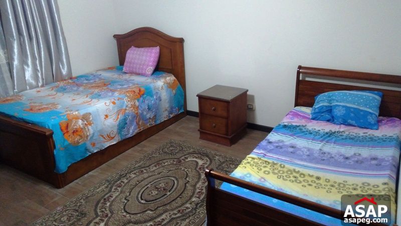 Modern Fully Furnished Apartment for Rent in Zamalek