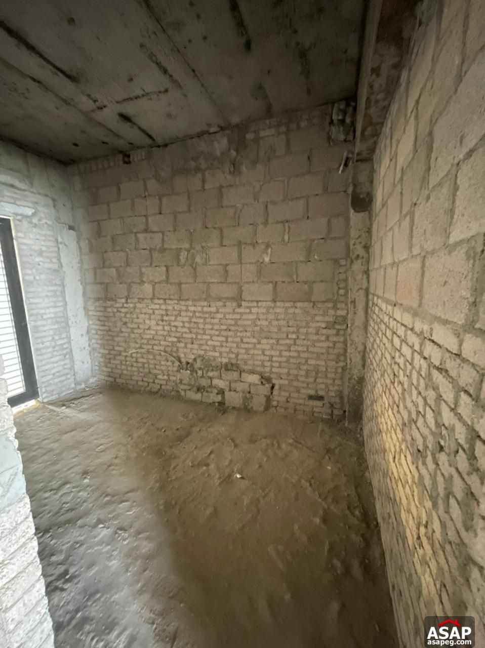 Penthouse with Lake View e for Sale in Lake View Residence