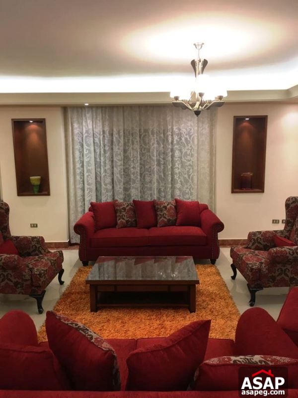 Furnished Apartment with Nile View in Dokki