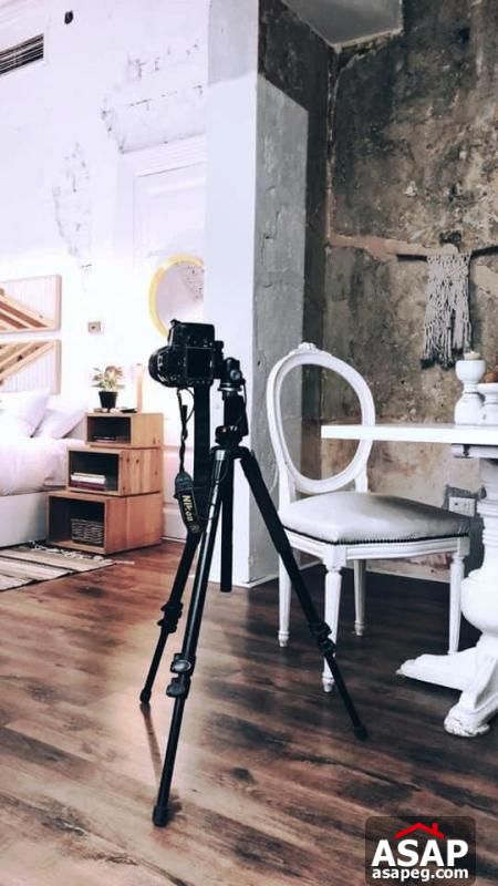 Ultra Modern Apartment in Zamalek Ultra Modern Apartment in Zamalek