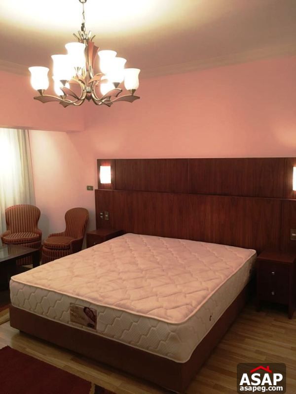 Furnished Apartment with Nile View in Dokki