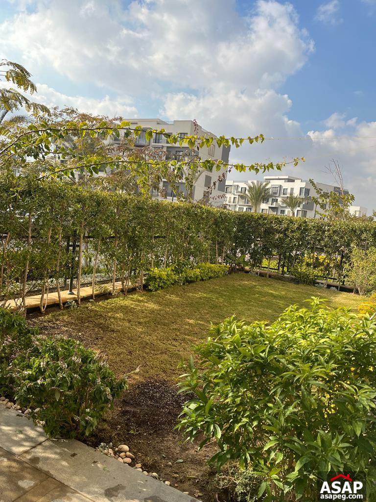 Apartment for Rent in Eastown