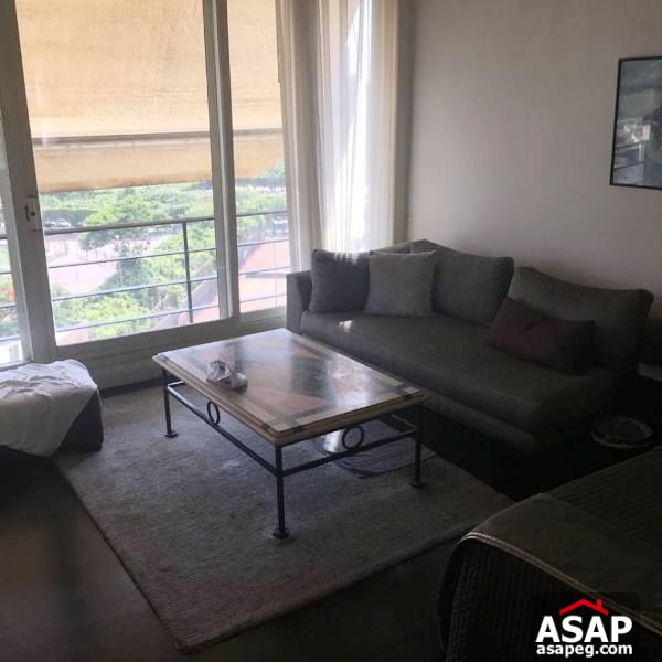 Apartment for Sale in Zamalek Apartment for Sale in Zamalek