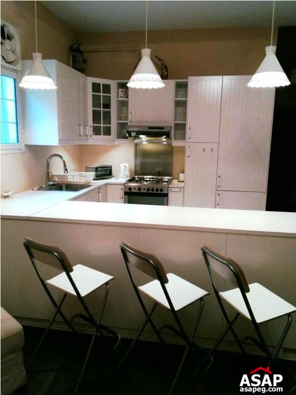 Apartment for Rent in Zamalek Apartment for Rent in Zamalek