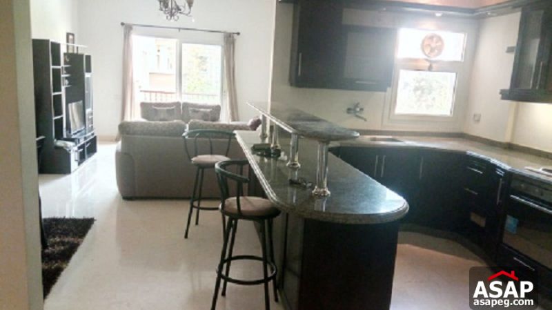 Apartment with Pool View in Katameya Plaza