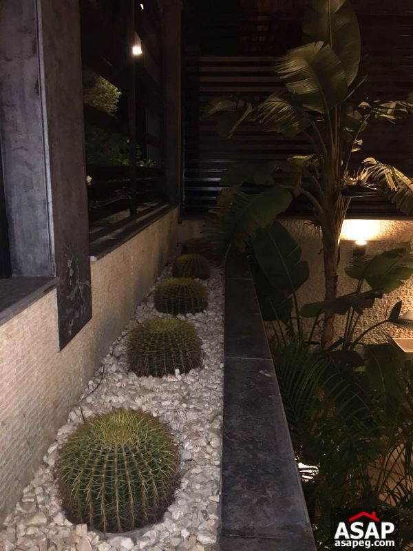 Roof for Rent in West Arabella Roof for Rent in West Arabella