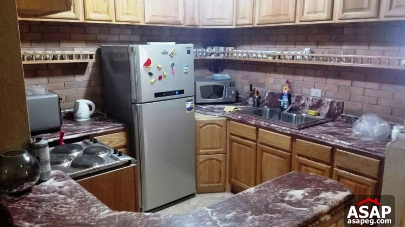 Furnished Apartment with Nile View in Maadi Furnished Apartment with Nile View in Maadi