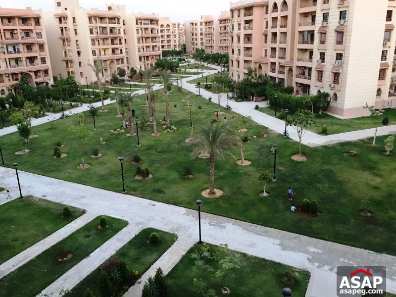 Apartment for Rent in Rehab Apartment for Rent in Rehab