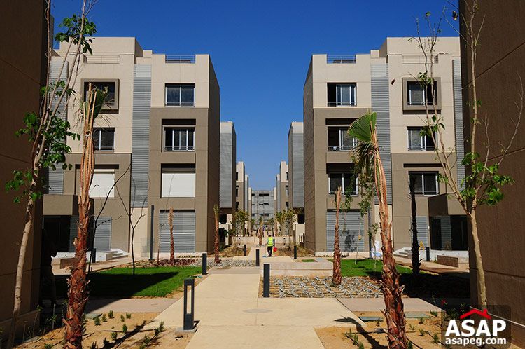 Apartment Semi finished in Village Avenue Apartment Semi finished in Village Avenue