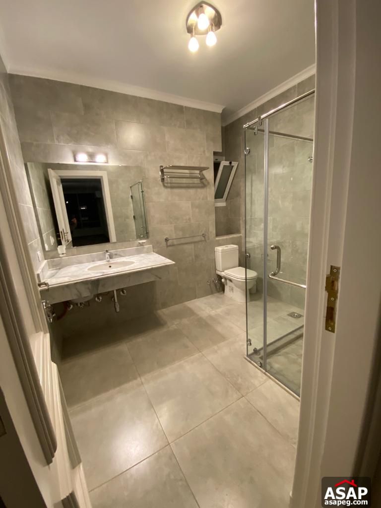 Apartment for Rent in Zamalek Apartment for Rent in Zamalek