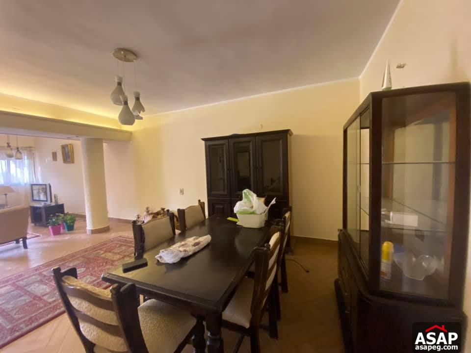 Nice Flat for Rent in Zamalek Nice Flat for Rent in Zamalek