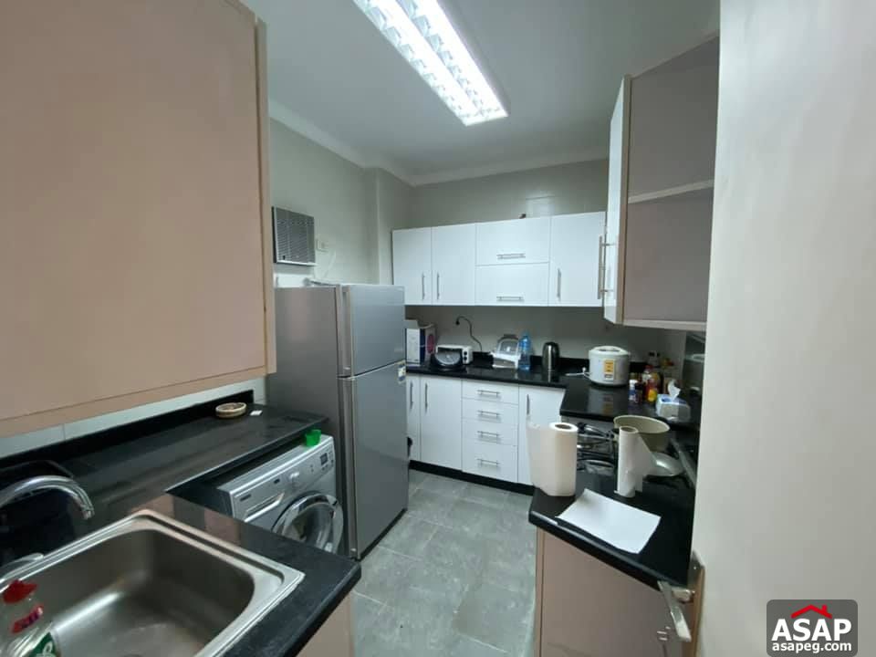 Apartment for Rent in Zamalek Apartment for Rent in Zamalek