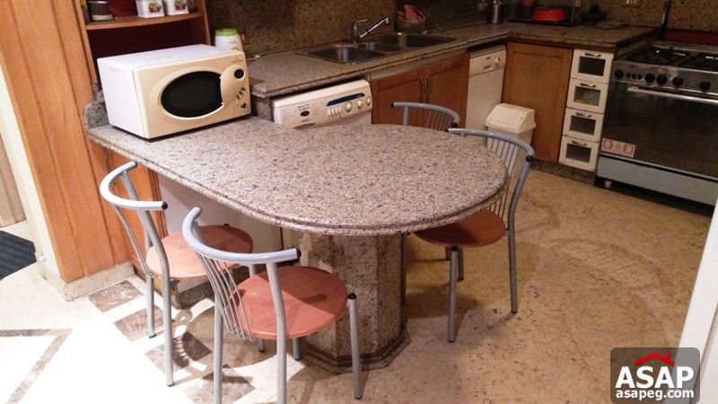 Apartment for rent in zamalek