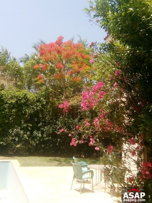 Villa with Garden for Rent in Rehab Villa with Garden for Rent in Rehab