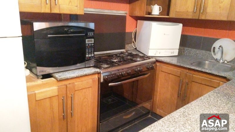 Fully Furnished Apartment for Rent in Zamalek Fully Furnished Apartment for Rent in Zamalek