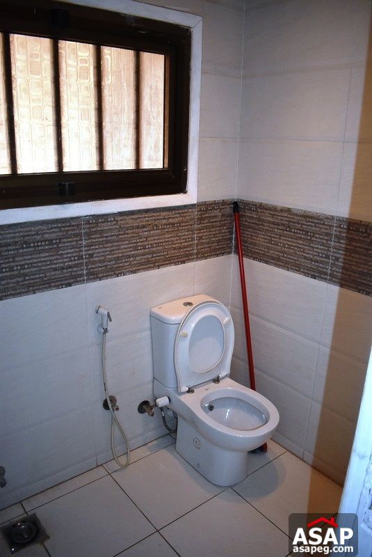 Furnished Apartment with Big Terrace for Rent in Zamalek Furnished Apartment with Big Terrace for Rent in Zamalek