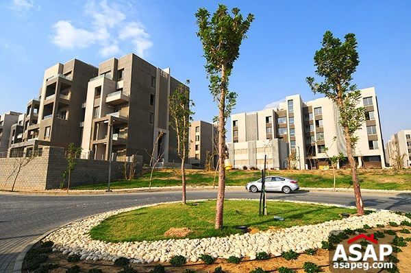 Apartment for sale at VGK Palm Hills Good Price Apartment for sale at VGK Palm Hills Good Price