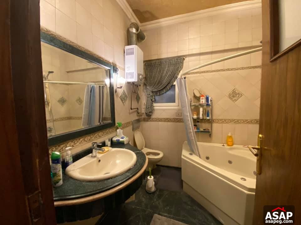 Apartment for Rent in Zamalek Apartment for Rent in Zamalek